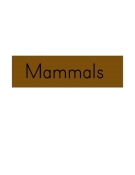 Preview of Mammal Cards