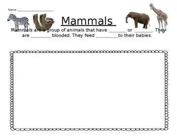 Mammal Definition and drawing by Ms Hudsons Teaching With Sunshine