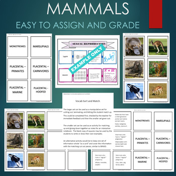 Mammal Groups (Monotremes, Marsupials, Placental) Sort and Match Activity