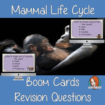 Mammal Life Cycle Revision Questions by The Ginger Teacher | TPT