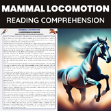 Mammal Locomotion and Living | Vertebrates Unit | Mammalia