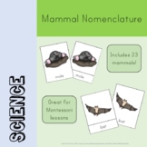 Mammal Nomenclature