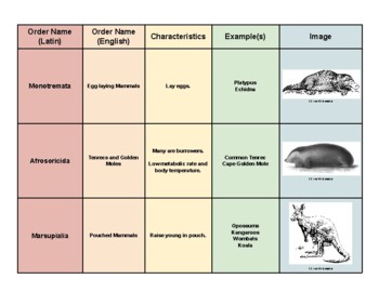 Mammal Orders by Prairie Science | Teachers Pay Teachers