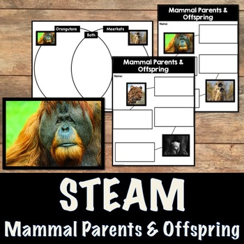 Preview of Mammal Parents and Offspring Video Research