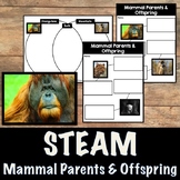 Mammal Parents and Offspring Video Research