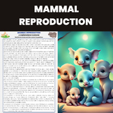 Mammal Reproduction | Vertebrates Unit | Mammalian Biology