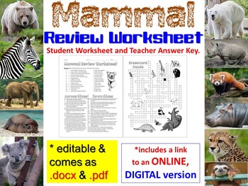 Preview of Mammal Review Worksheet for Biology & Zoology (Paper Copy & Online Version)