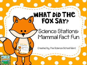 Preview of Mammal Stations: What Did the Fox Say?