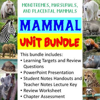Preview of Mammal Unit Bundle (Monotremes, Marsupials, Placental Mammals)