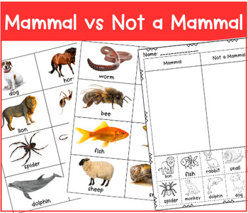 Preview of Mammal Vs Not a Mammal Picture Sorts with Sentence Stems
