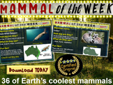 Mammal of the Week: 36 animals with facts, images, video l