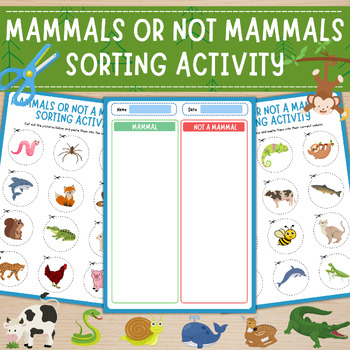 Preview of Mammal or Not a Mammal Picture Sort | Animals Cut and Paste Activity