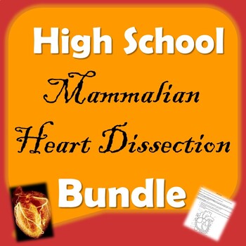 Preview of Mammalian Heart Dissection Lab Bundle