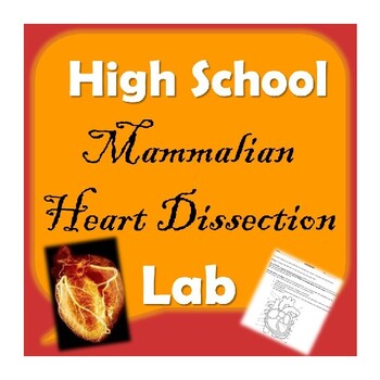 Preview of Mammalian Heart Dissection Laboratory