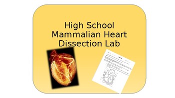 Preview of Mammalian Heart Dissection Slide Show