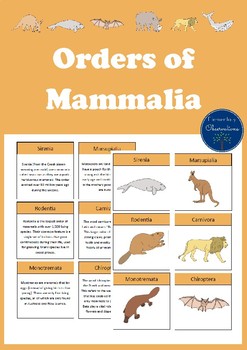 Mammalian Orders Pack by Elementary Observations | TpT