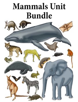 Preview of Mammals Activity Bundle K-2