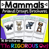Mammals | Animal Groups and Animal Classifications Brochures