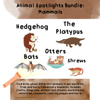 Mammals: Animal Spotlights - Featuring Hedgehogs, Otters, Shrews, Bats,  Platypus