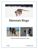Mammals Bingo