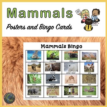 Animal Classification Mammals Bingo, Posters, and More | TPT