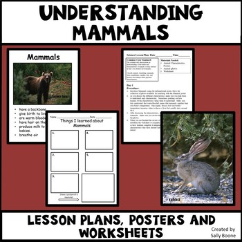 Preview of Mammals - Characteristics of Animals Leson Plan, Photos, Poster