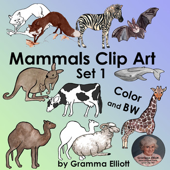 Preview of Mammals Clip Art Set 1