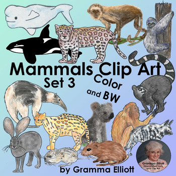 Preview of Mammals Clip Art Set 3  Semi Realistic  Color Black Line and Silhouettes