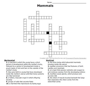 Mammals Crossword Puzzle by Mrs Stotts Science Store TPT