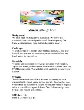 Preview of Mammals Design Brief