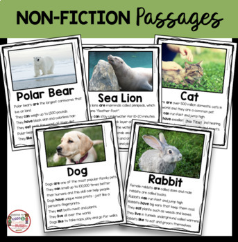 Mammals - Dogs Cats Polar Bears Rabbits Sea Lions - Nonfiction ...