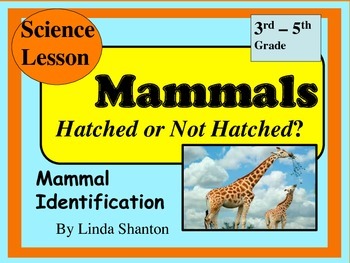Preview of Mammals - Science Powerpoint lesson Grades 3-5