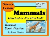 Mammals - Science Powerpoint lesson Grades 3-5