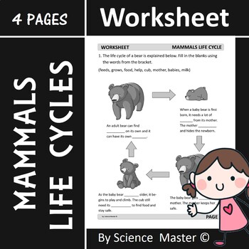 Mammals Life Cycle Worksheet by Science Master | TpT