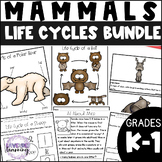 Mammals Life Cycles Bundle - Polar Bear, Cow, Arctic Fox, 
