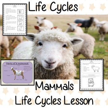 Mammals Life Cycles - Complete Science Lesson by The Ginger Teacher