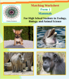 Mammals - Matching Worksheet - Form 1