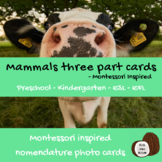Mammals | Montessori | 3 Part Cards