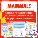 Mammals Nature Study