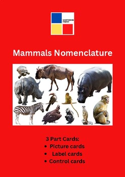 Preview of Mammals Nomenclature