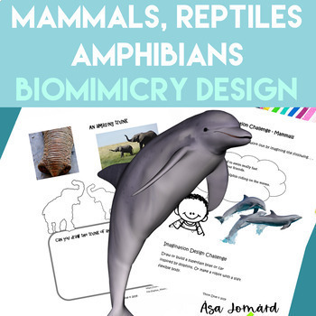 Preview of Mammals Reptiles Amphibians Project | Biomimicry Design Activities |  Nonfiction