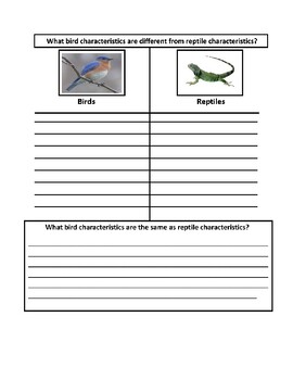 Mammals, Reptiles, Birds, Fish, and Amphibians: Compare and Contrast