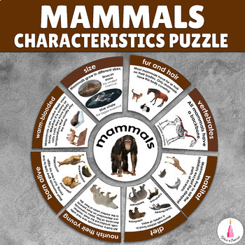 Mammals Characteristics Study Montessori Activity Animal Group