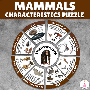 Preview of Mammals Study Animal Group Classification Montessori Activity Vertebrates