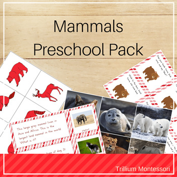 Preview of Mammals Theme Preschool and PreK Centers