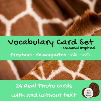 Preview of Mammals | Vocabulary Activities | Photo Cards