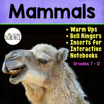 Preview of Mammals Bell Ringers and Warm Ups