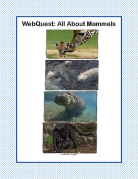 Preview of Mammals -Webquest