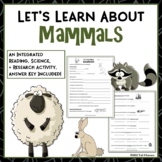 Mammals Webquest Worksheets Reading Scavenger Hunt Researc