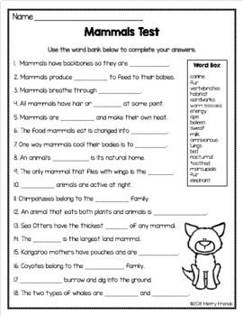 Mammals Worksheets Activities Review Sheet Test by Merry Friends